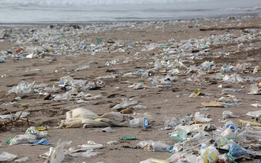 Wie Mikroplastik vermeiden